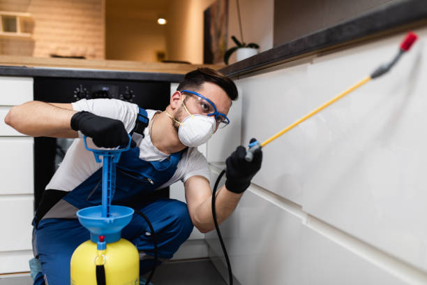 Best Pest Control Near Me  in Rio Linda, CA