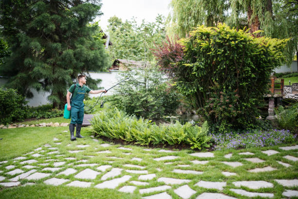 Best Exterminator Services  in Rio Linda, CA