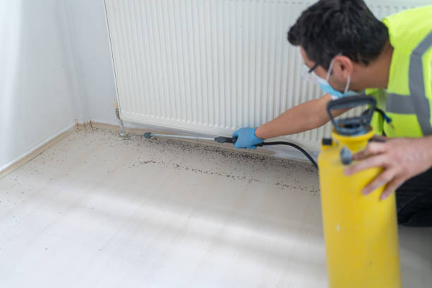 Best Pest Control for Homes  in Rio Linda, CA